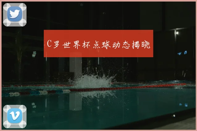 C罗世界杯点球动态揭晓