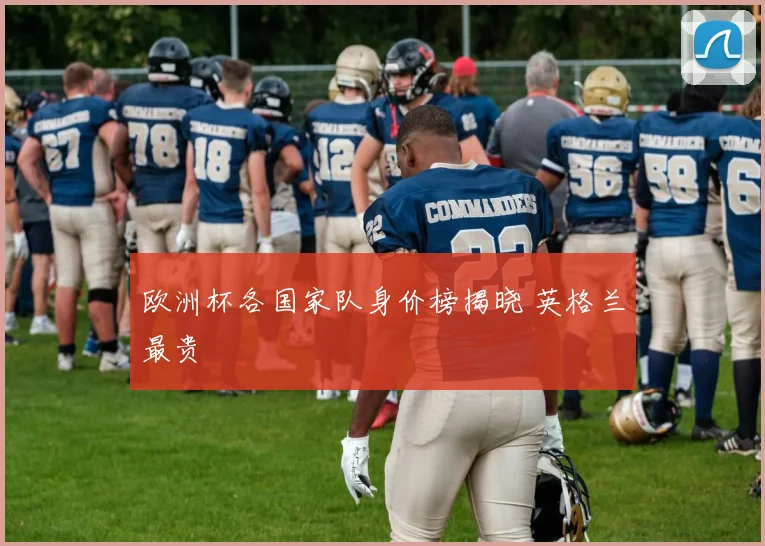 欧洲杯各国家队身价榜揭晓 英格兰最贵
