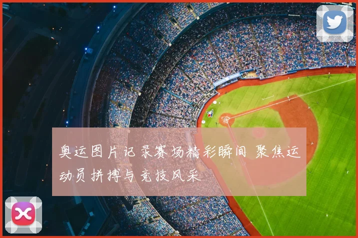 奥运图片记录赛场精彩瞬间 聚焦运动员拼搏与竞技风采