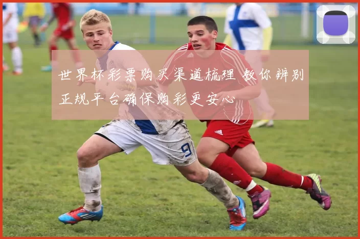 世界杯彩票购买渠道梳理 教你辨别正规平台确保购彩更安心