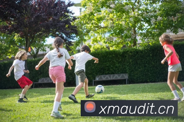 App Interface Preview